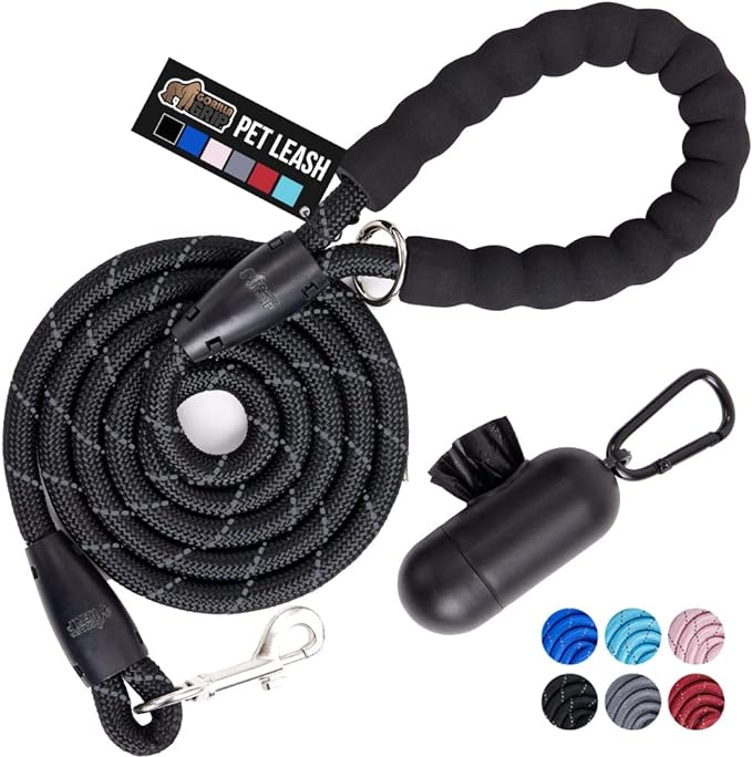 Black 6 foot dog leash with poop bag holder.